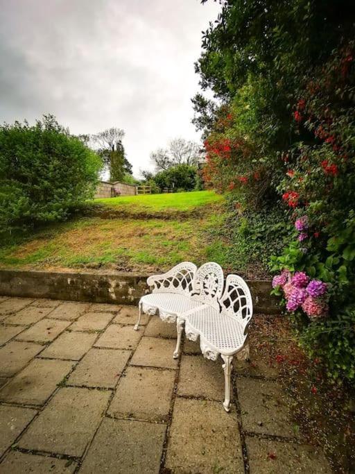 Orchard Cottage Dingle Exterior foto